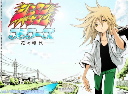 В 2012 году выпустят продолжение манги «Shaman King» В 2012 году выпустят продолжение манги «Shaman King»